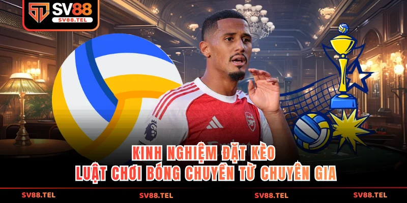 Kinh nghiệm đặt kèo luật chơi bóng chuyền từ chuyên gia