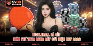 Pickleball là gì