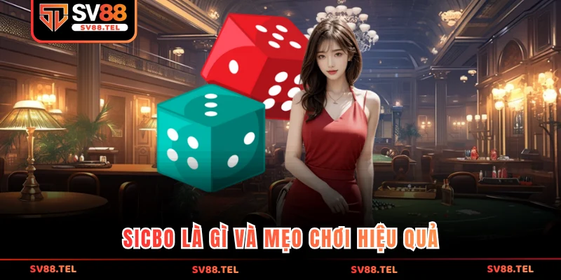 Sicbo là gì và mẹo chơi hiệu quả
